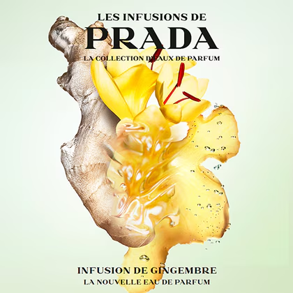 Infusion de Gingembre