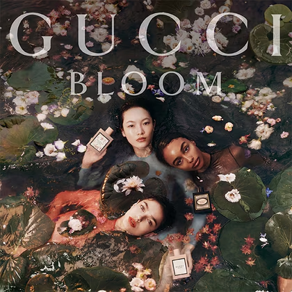 Bloom