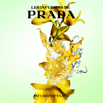 Les Infusion D'Ylang