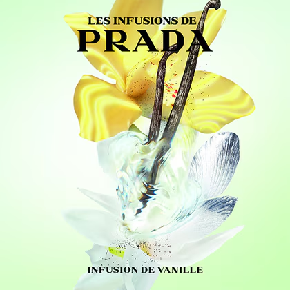 Les Infusion Vanille