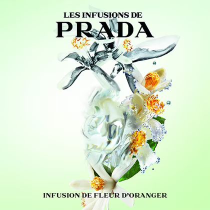 Les Infusion Fleur D'Orange