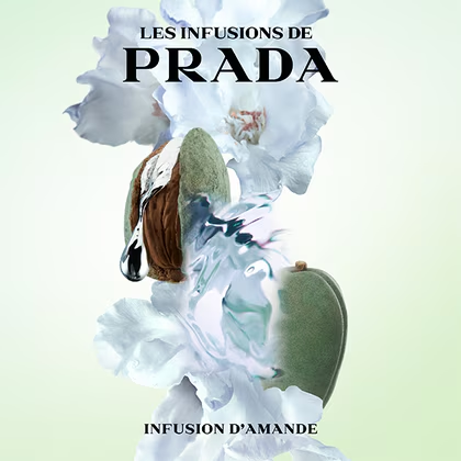 Les Infusion Amande