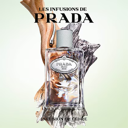 Les Infusion Cedre