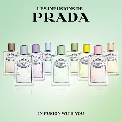 Les Infusion Cedre