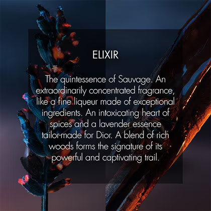 Sauvage Elixir