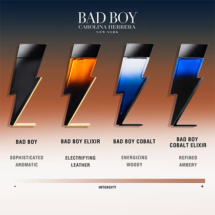 Bad Boy