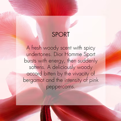 Dior Homme Sport