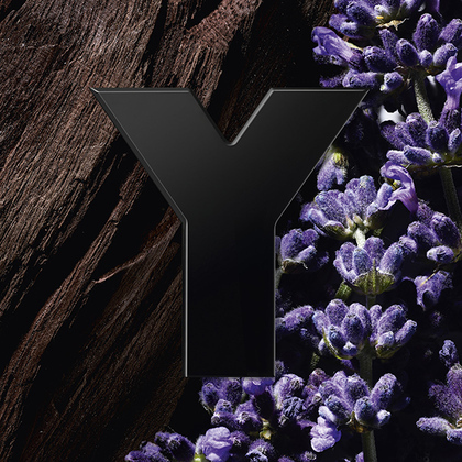 Y Le Parfum