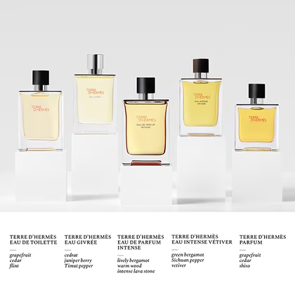 Terre d'Hermès Eau Intense Vétiver