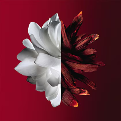 L’Interdit Rouge