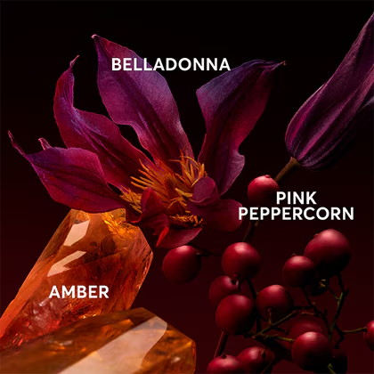 Boss The Scent Elixir For Her