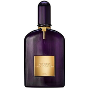 Velvet Orchid